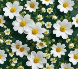 Fototapeta premium Delicate white flowers with yellow centers scattered on a green textured surface, botany, serenity, macro