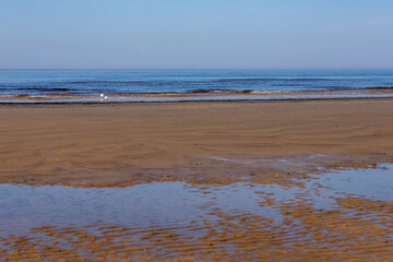 Tranquil beach view with calm waves and seagulls. Serene coastal landscape featuring a sandy beach, shallow water reflections, and gentle waves under a clear blue sky. Two seagulls rest near the shore