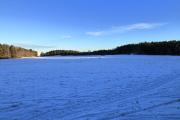 Great snowy landscape in shade. Forest in background with sunlight. Winter of 2025. Grimsta park, Stockholm, Sweden.