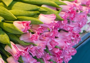 Tulpen an einem Marktstand