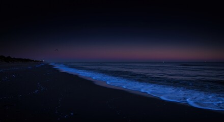 Fototapeta premium Secenic Coastal View with Gentle Waves and Evening Glow