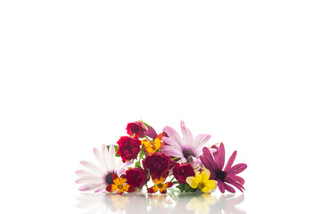 small bouquet of small multi-colored summer flowers