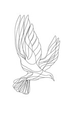 Beautiful line art of a flying dove.