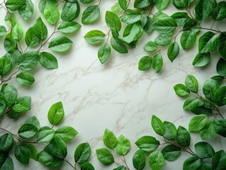 A flat lay of green leaves arranged on a marble surface, creating a natural aesthetic.