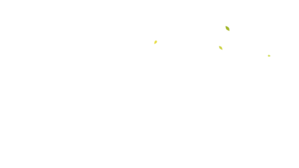 Bamboo grove vector image. White background removed vector art. Nature illustration with bamboo. Download bamboo graphics for design projects.