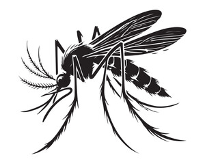 Mosquito 4.eps
