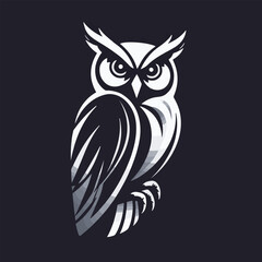 Obraz premium owl vector image, owl image.