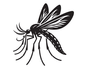 Obraz premium Mosquito 1.eps