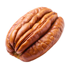 Pecan isolated on transparent background