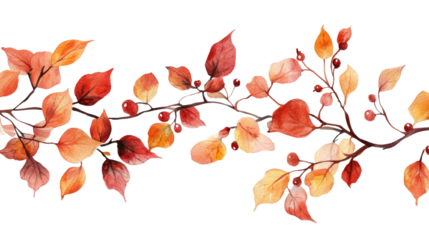 watercolor Autumn branch element set transparent on white background 