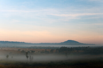 a view of the wild nature landscape with background of small hill in blue clear sky of the morning