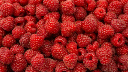 Tasty fresh raspberry as a background.