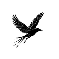 Grace in flight a serene