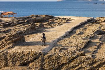 Sunset on the beautiful Oasis beach on the island of Rhodes in Greece. Seascape