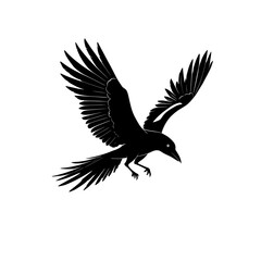 Grace in flight a serene