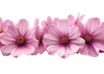 Delicate pink flowers bordering a floral design minimalist aesthetic soft nature vibe