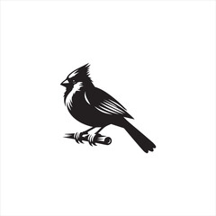 Black Silhouette Vector bird on a branch