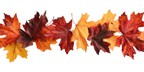 Obraz premium vibrant array of autumn leaves in red, orange, and yellow hues, isolated on transparency background, creating festive and colorful overlay