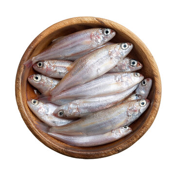 Top view of fresh milkfish in a wooden bowl isolated on transparent background 