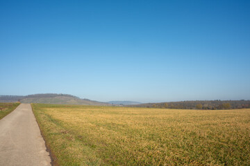 road in the field