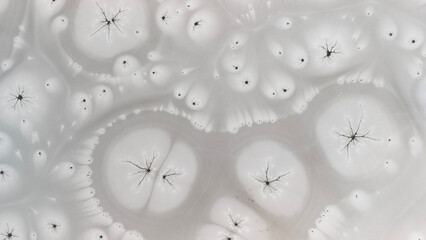 Zamarznięta tafla jeziora, wzory stworzone przez naturę, Frozen lake surface, patterns created by nature © Michal Przystas