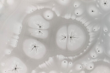 Zamarznięta tafla jeziora, wzory stworzone przez naturę, Frozen lake surface, patterns created by nature © Michal Przystas