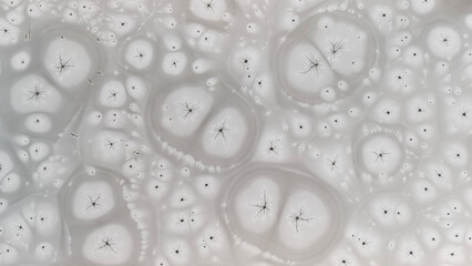 Zamarznięta tafla jeziora, wzory stworzone przez naturę, Frozen lake surface, patterns created by nature © Michal Przystas