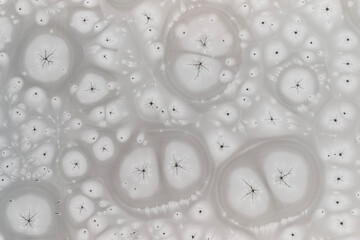 Zamarznięta tafla jeziora, wzory stworzone przez naturę, Frozen lake surface, patterns created by nature © Michal Przystas