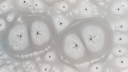Zamarznięta tafla jeziora, wzory stworzone przez naturę, Frozen lake surface, patterns created by nature © Michal Przystas