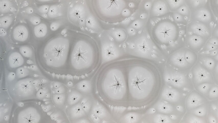 Zamarznięta tafla jeziora, wzory stworzone przez naturę, Frozen lake surface, patterns created by nature © Michal Przystas