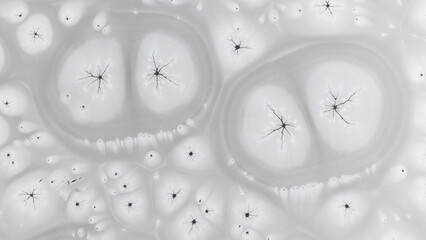 Zamarznięta tafla jeziora, wzory stworzone przez naturę, Frozen lake surface, patterns created by nature © Michal Przystas