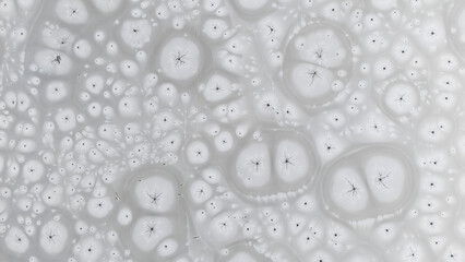 Zamarznięta tafla jeziora, wzory stworzone przez naturę, Frozen lake surface, patterns created by nature © Michal Przystas