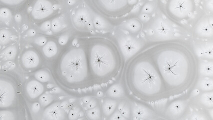 Zamarznięta tafla jeziora, wzory stworzone przez naturę, Frozen lake surface, patterns created by nature © Michal Przystas