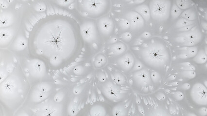 Zamarznięta tafla jeziora, wzory stworzone przez naturę, Frozen lake surface, patterns created by nature © Michal Przystas