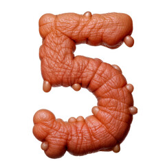 Number 5 crafted from ugly skin, mimicking human texture with wrinkles, folds, and a fleshy tone. A surreal, lifelike design blending organic flaws and art in bold, uncanny typography