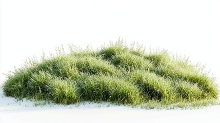 A cutout of a lush meadow grass field, isolated on a pure white background 