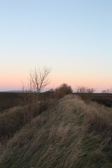 A grassy field with a sunset in the background