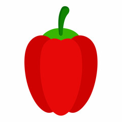  Red capsicum vector on white background 