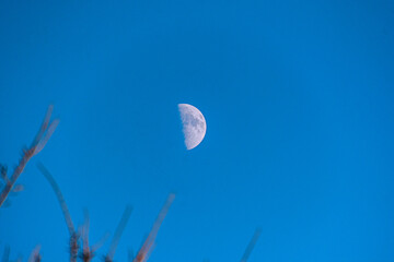 moon in the sky 