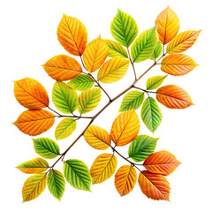 Fototapeta premium Vibrant Green Leaves Branch, Isolated on White Background. Perfect for nature designs, spring 