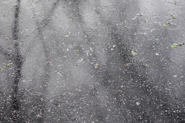 Natürliche Eisoberfläche mit Laubresten und leichten Rekflektionen