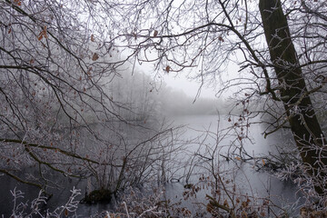 See im Hiller Moor bzw. im Großen Torfmoor bei Lübbecke im Winter