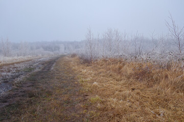 Frostige Landschaft bei Nebel