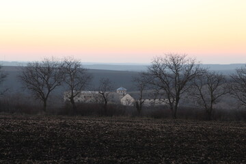 A landscape with trees and a building in the background
