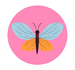 Butterfly insect moth cute concept. Vector design graphic illustration