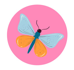 Butterfly insect moth cute concept. Vector design graphic illustration