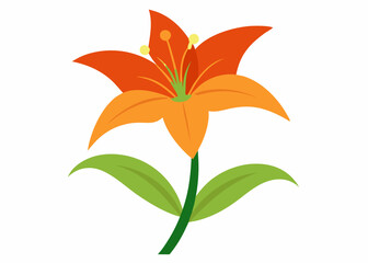 orange lily flower