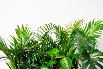 Lush indoor plants creating a vibrant natural backdrop in a bright setting