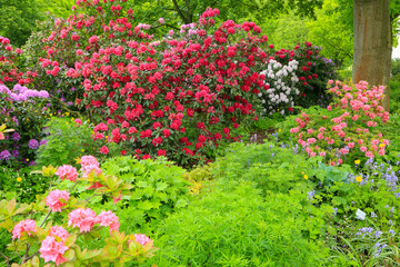 Frühlingsgarten