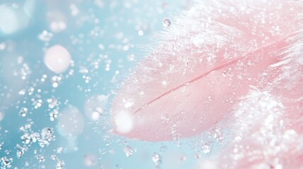 Fototapeta premium Pink feather submerged, water droplets, bokeh background, spa advertisement
